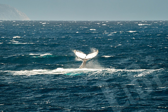 Baja_233_011122