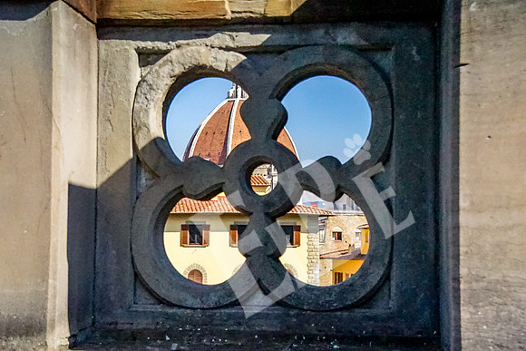 ItalyFlorence_336_092015