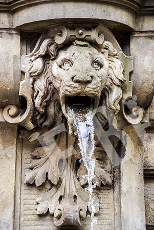 713_039_Cologne