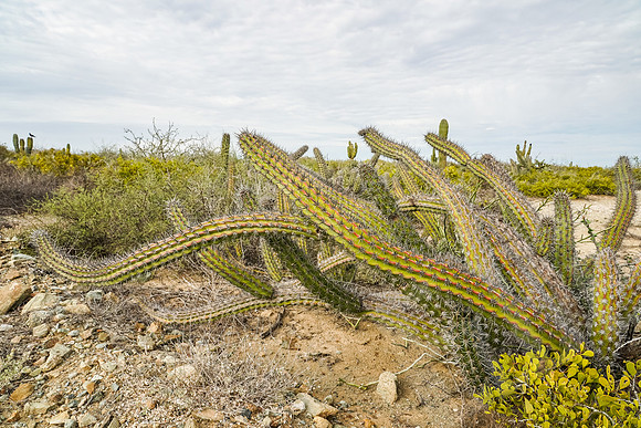 Baja_760_011222