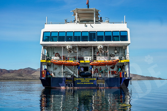 Baja_727_011222