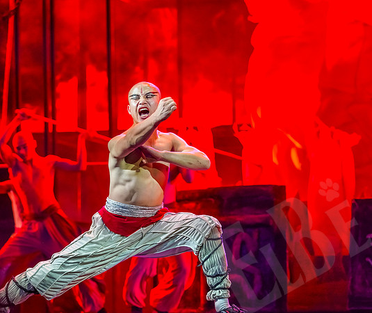 KungFu_050_052118