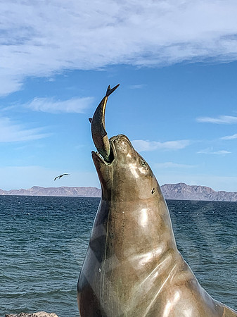 Baja_1502_011522
