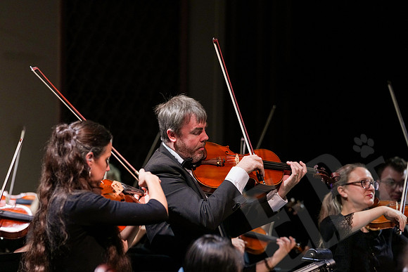 YSO_39_100425