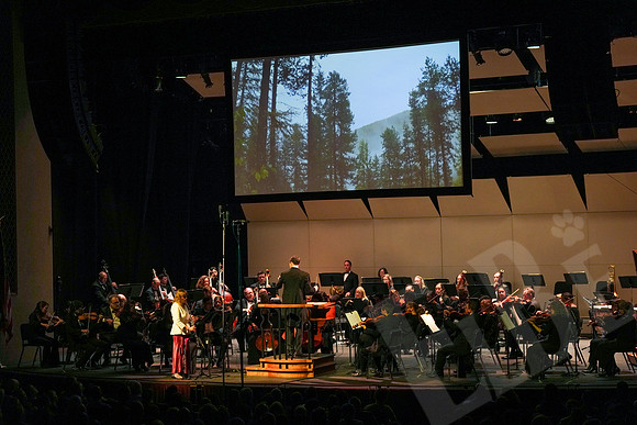 YSO_62_100425