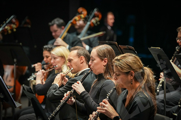YSO_79_100425