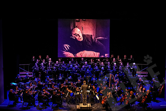 Nosferatu_091_102222