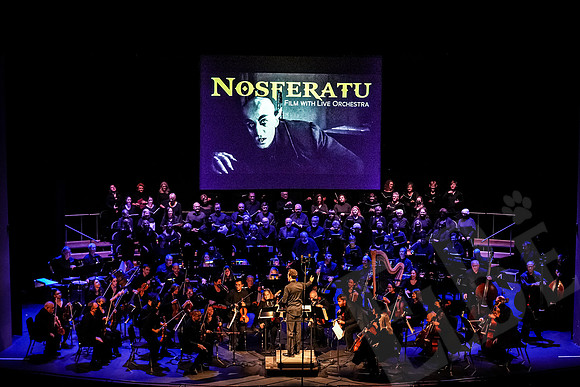Nosferatu_094_102222
