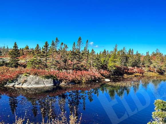 Canada_1036_101122
