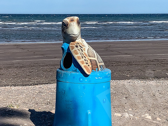 Baja_1353_011522