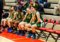 York Catholic v. St. Basil - Girls Basketball - State Round 2