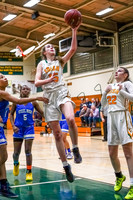 YC v. Steele High - Varsity  Girls - 02-20-20 - District Semifinal