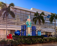 Rose Bowl Parade Tour