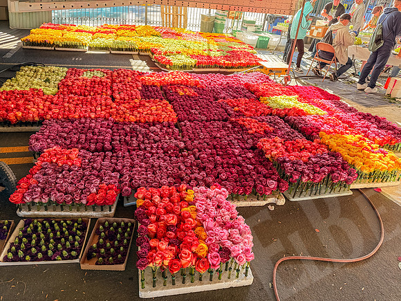 RoseBowlPC_045_122925
