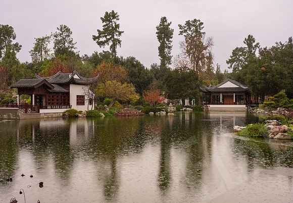 RoseBowl_113_123125