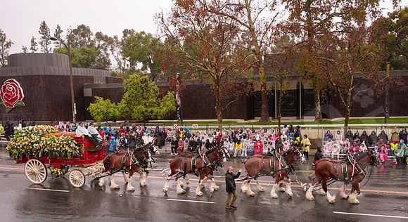 RoseBowl_161_010126