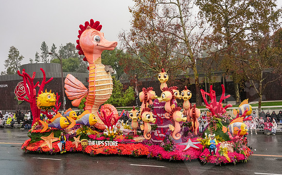 RoseBowl_167_010126