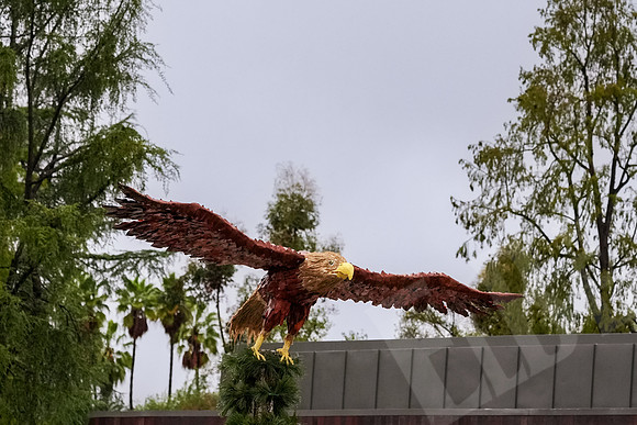 RoseBowl_205_010126