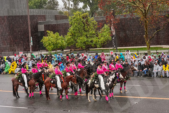RoseBowl_210_010126