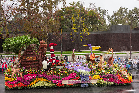 RoseBowl_219_010126