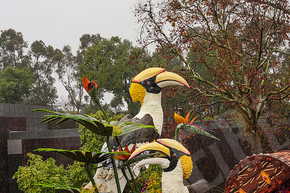 RoseBowl_227_010126