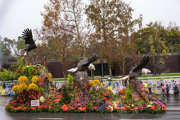RoseBowl_238_010126