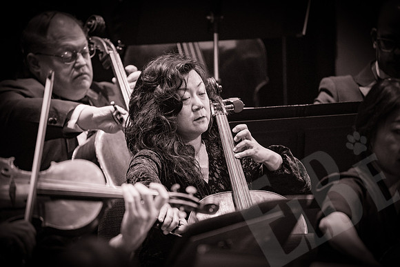 YSO_019_020726