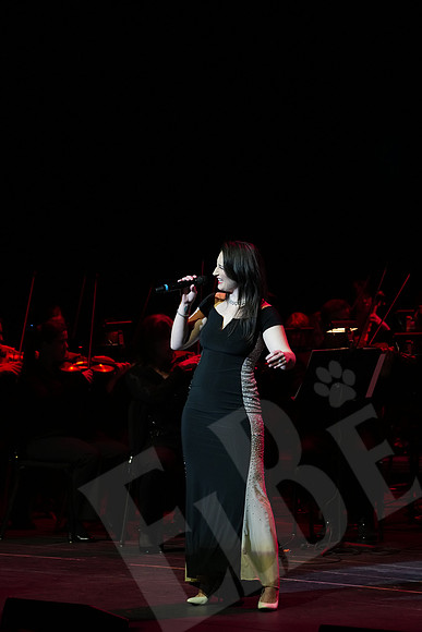 YSO_008_041126