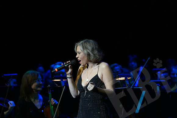 YSO_016_041126
