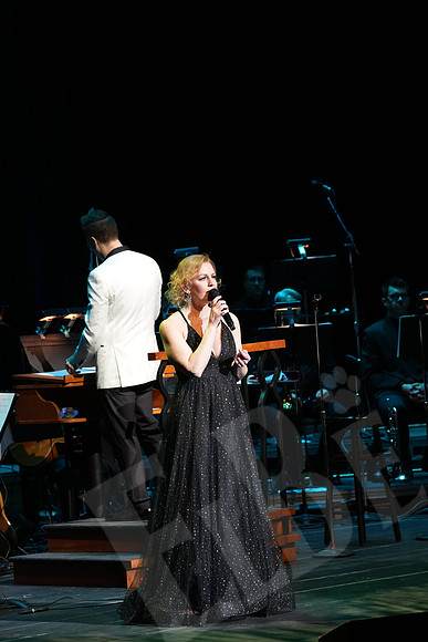 YSO_028_041126