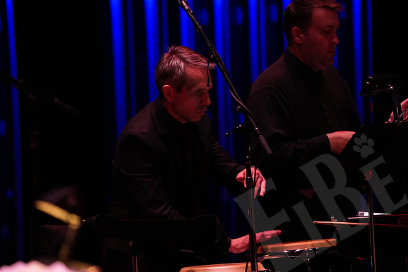 YSO_048_041126