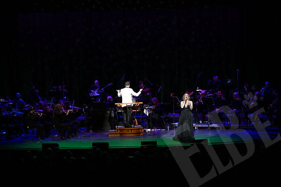 YSO_056_041126