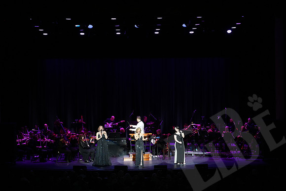YSO_069_041126