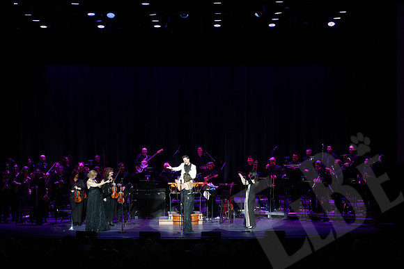 YSO_071_041126