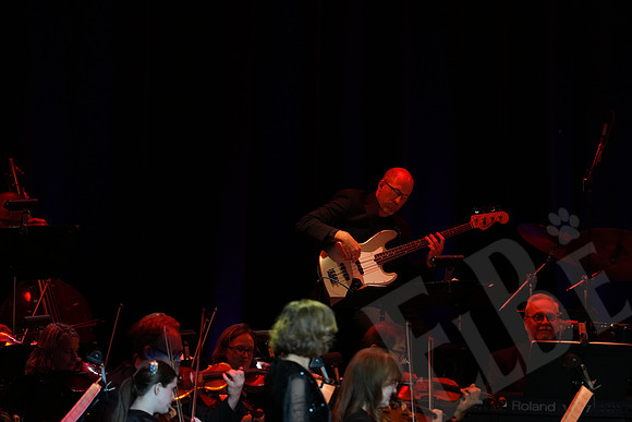 YSO_077_041126