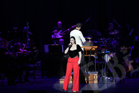 YSO_081_041126