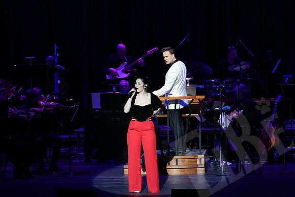 YSO_082_041126