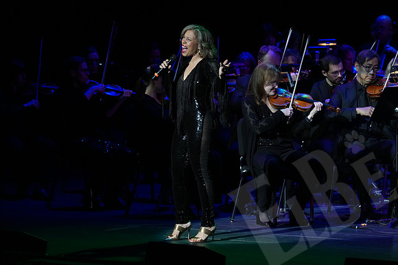YSO_086_041126