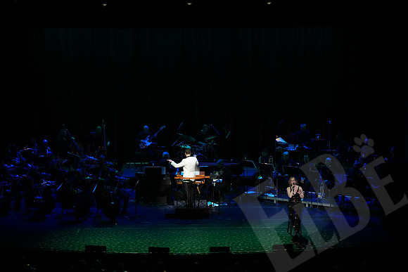YSO_093_041126