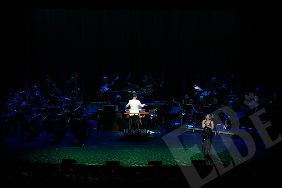 YSO_094_041126