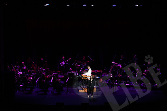 YSO_096_041126