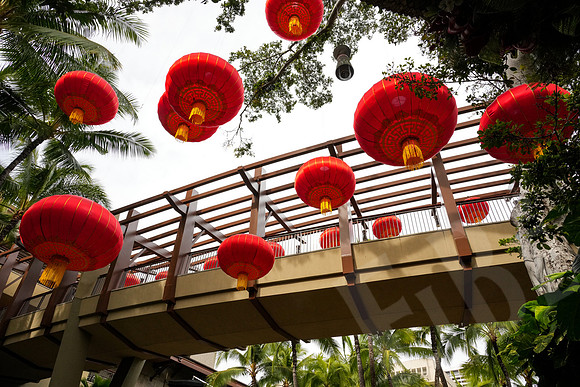 Hawaii_0085_012823