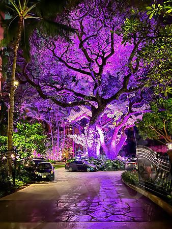 Hawaii_0145_012823