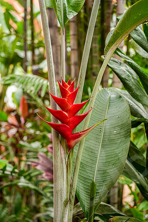 Hawaii_0090_012823