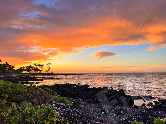 Hawaii_0837_013123
