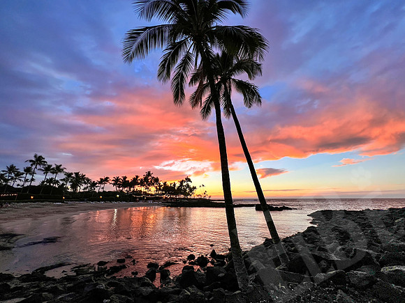 Hawaii_0851_013123