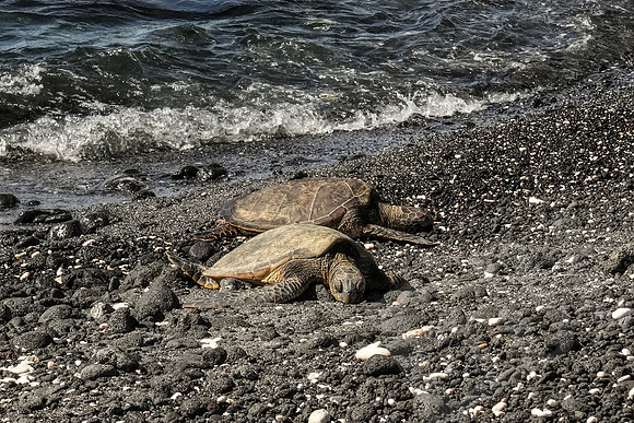 Hawaii_0893_020123