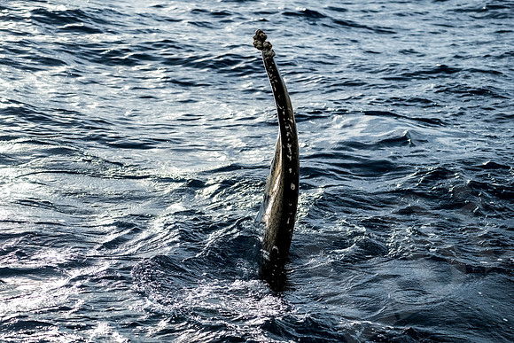 Hawaii_1122_020123