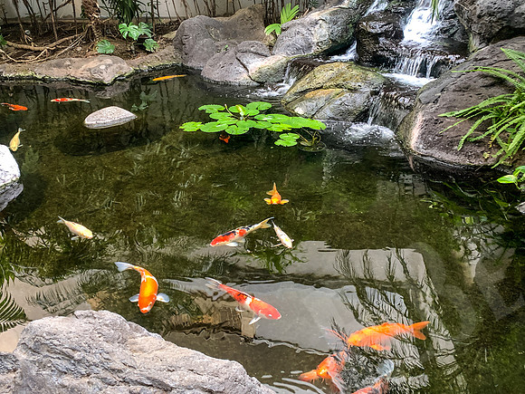 Hawaii_1217_020223