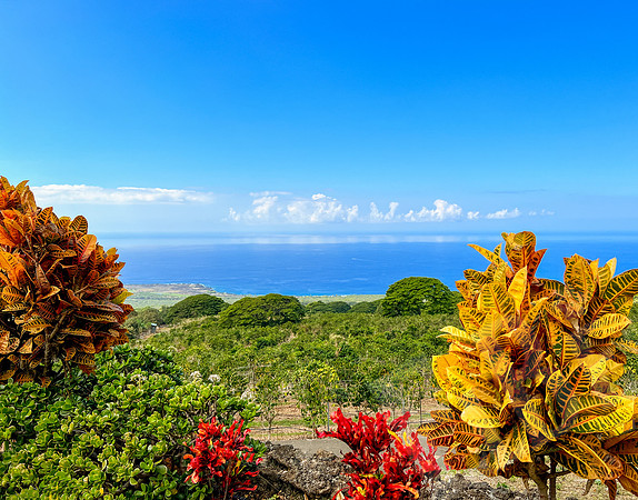 Hawaii_1313_020223-Edit